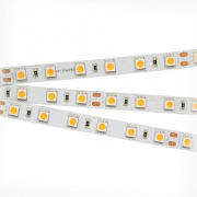 Лента RTW 2-5000SE 24V DayWhite 2x(5060,300LED,LUX) 015455 