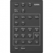 Gira Инфракрасный пульт 237300