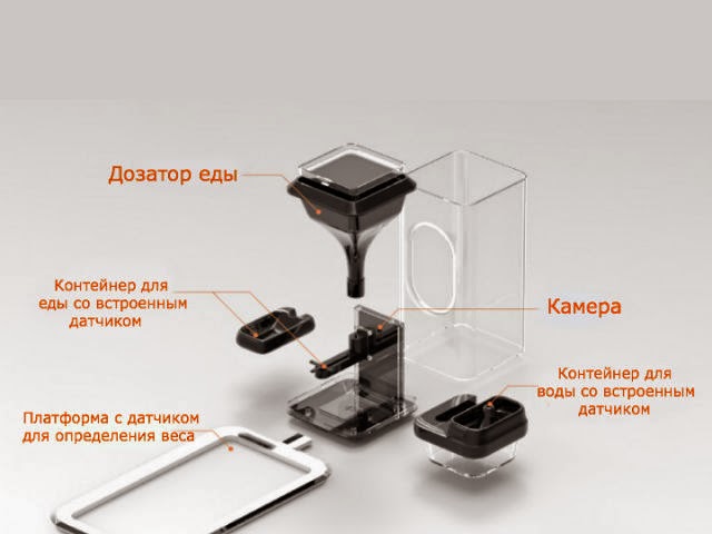 kormushka-dlya-koshek-bistro-uznaet-ix-po-morde-eto-fantastika.jpg kormushka-dlya-koshek-bistro-uznaet-ix-po-morde-eto-fantastika.jpg